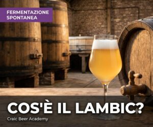 ALT Il Lambic belga servito nel tradizionale bicchiere con bottiglia e botti di rovere Title Il Lambic - Guida completa Caption Il Lambic è una delle più antiche tradizioni brassicole belghe. Description Immagine della guida completa dedicata al Lambic.